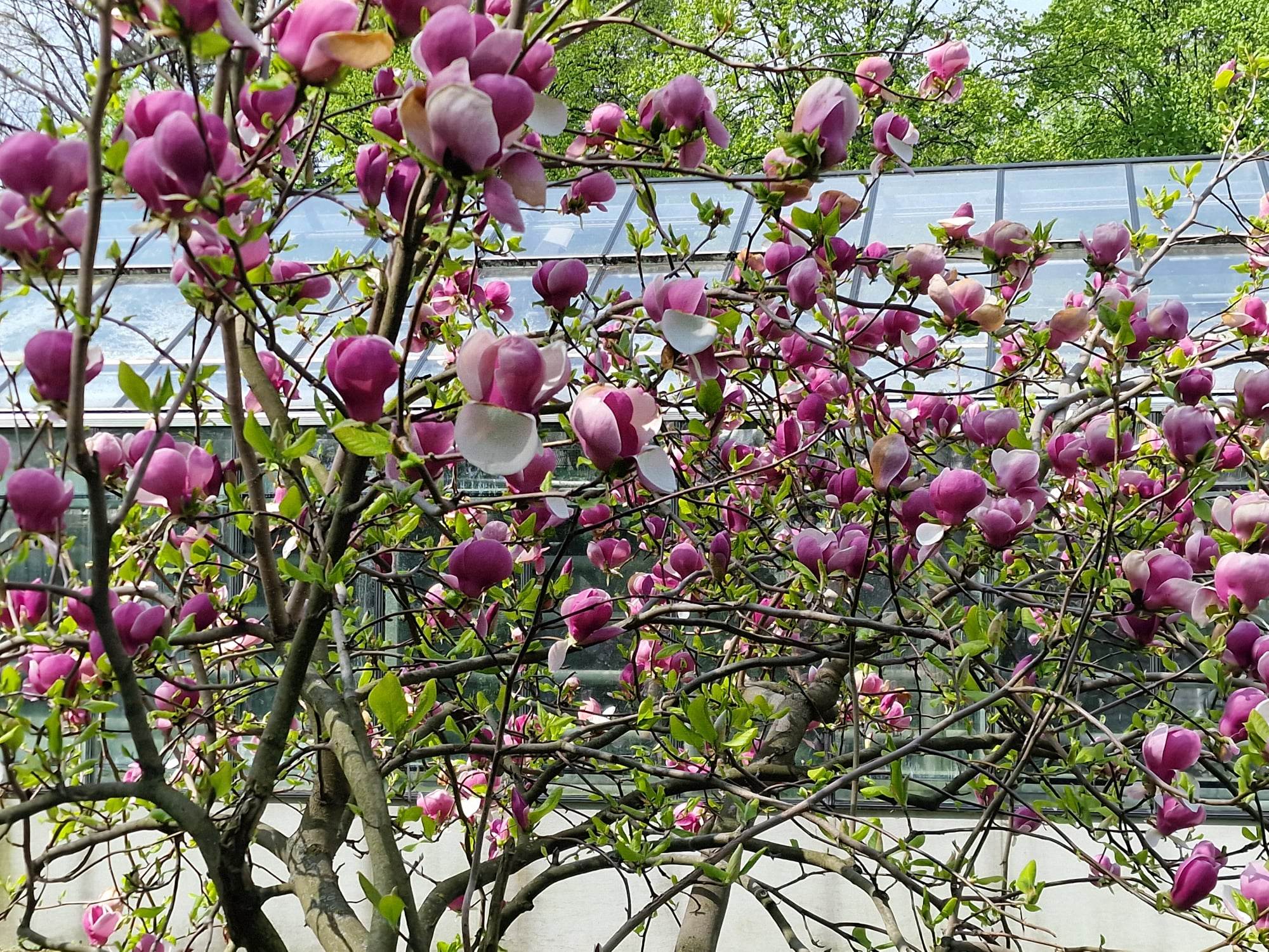 342565135_956695862349807_8211299161177844354_n