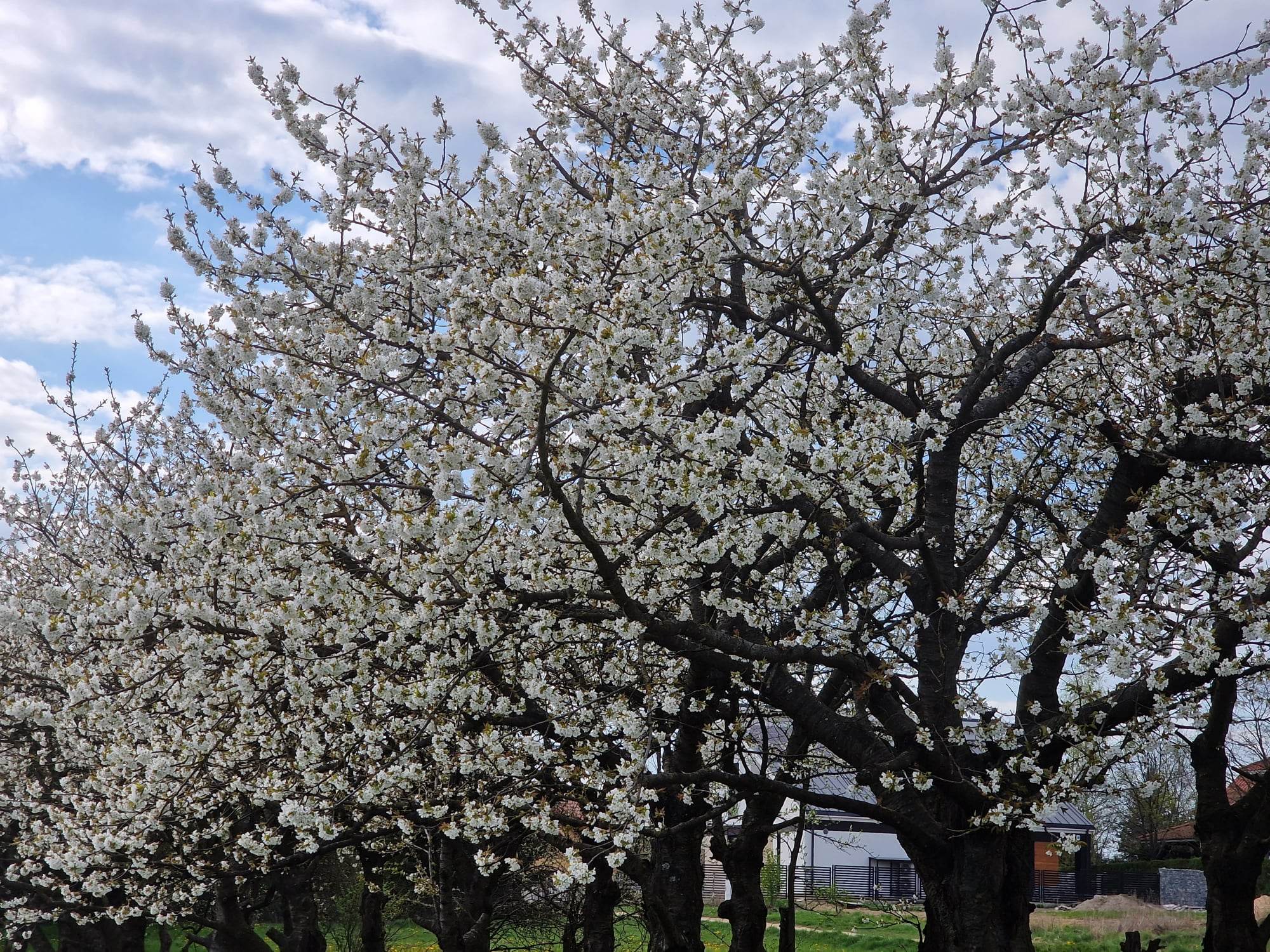 342630263_626922429323586_5724269421235451593_n