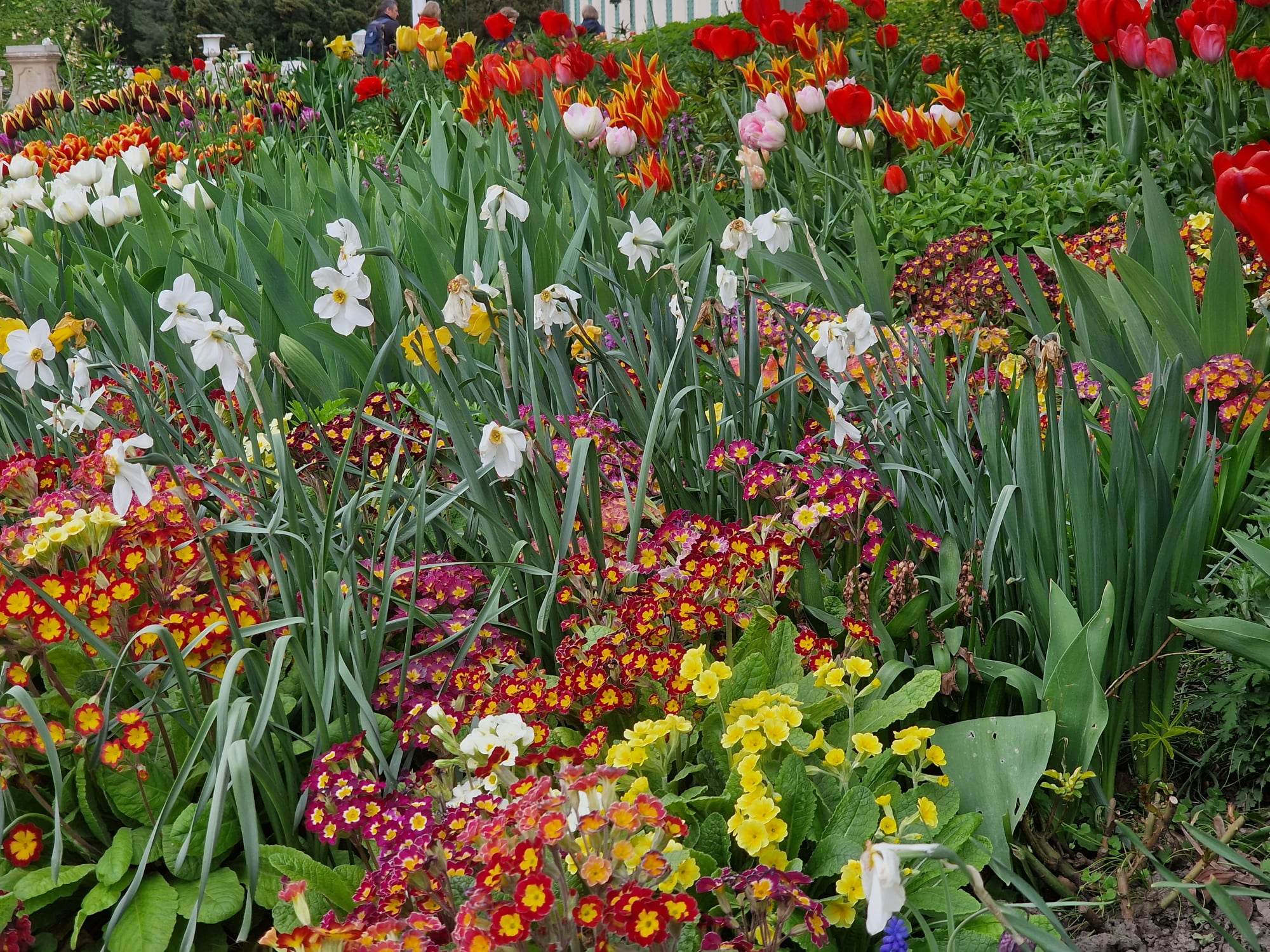 342630265_1220792495217854_8960106121277449595_n